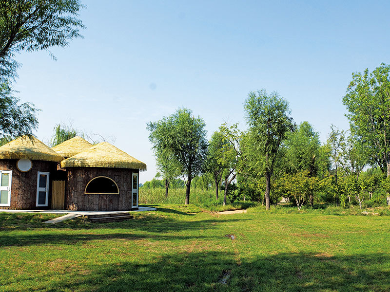 濟西國家濕地公園