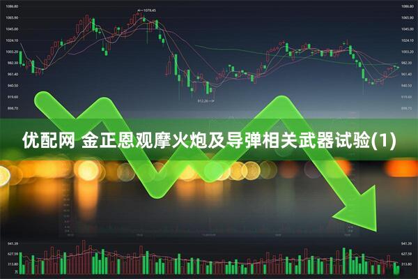 优配网 金正恩观摩火炮及导弹相关武器试验(1)